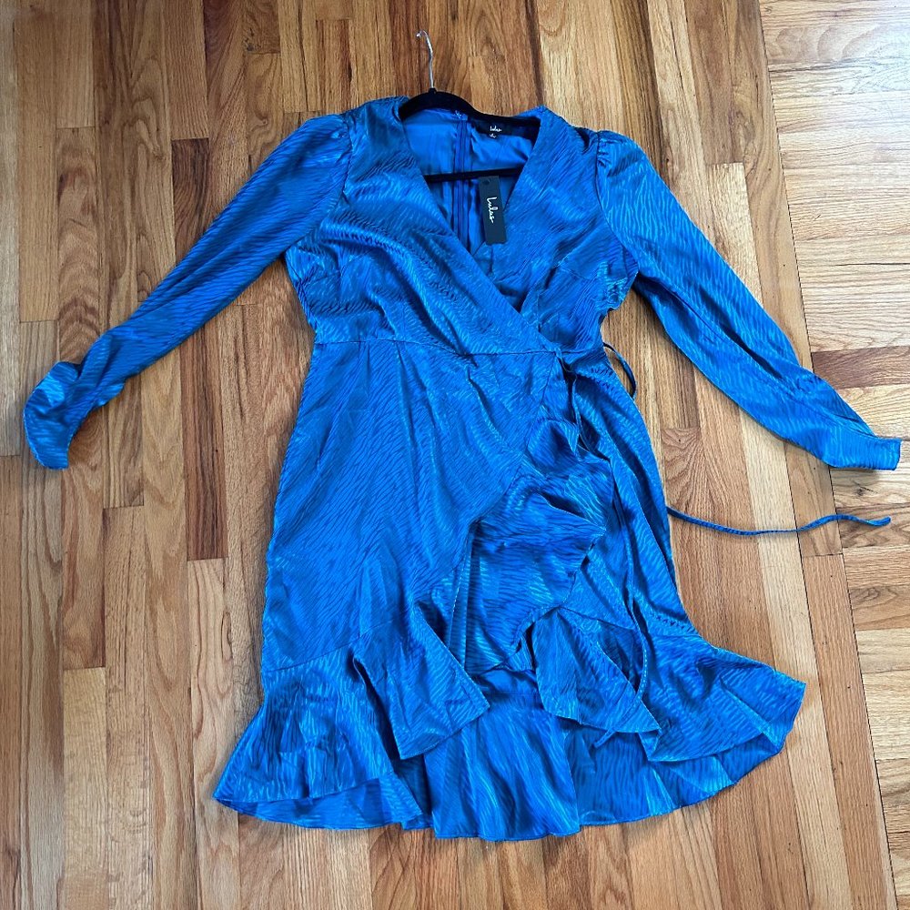 80s Blue Zebra Lulu's Dress